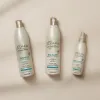 Productos Groupage Línea Detox